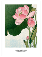 Ohara Koson Blooming Lotus Flowers - Art Print